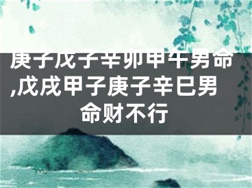 庚子戊子辛卯甲午男命,戊戌甲子庚子辛巳男命财不行