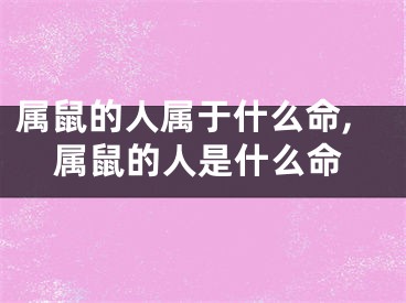 属鼠的人属于什么命,属鼠的人是什么命