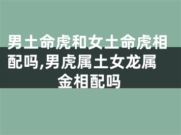 男土命虎和女土命虎相配吗,男虎属土女龙属金相配吗