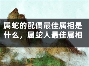 属蛇的配偶最佳属相是什么，属蛇人最佳属相