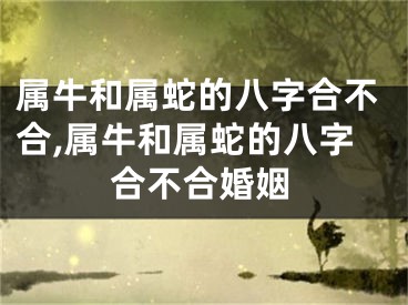 属牛和属蛇的八字合不合,属牛和属蛇的八字合不合婚姻