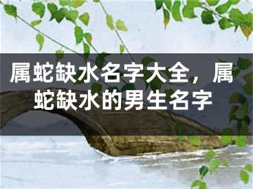 属蛇缺水名字大全，属蛇缺水的男生名字