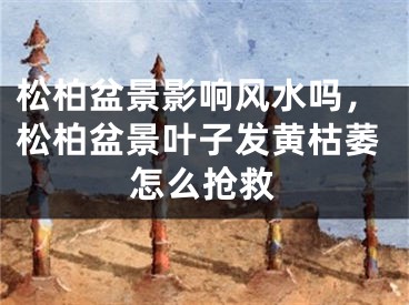 松柏盆景影响风水吗，松柏盆景叶子发黄枯萎怎么抢救