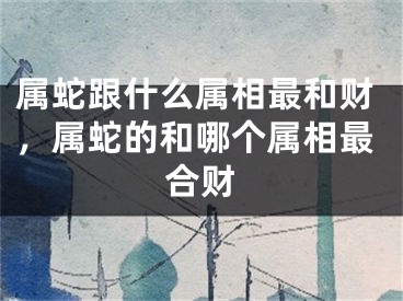 属蛇跟什么属相最和财，属蛇的和哪个属相最合财