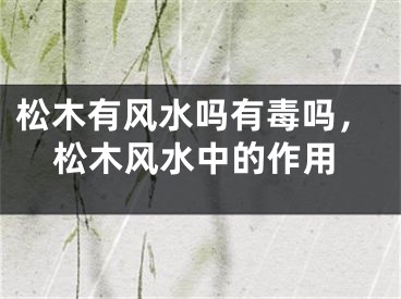 松木有风水吗有毒吗，松木风水中的作用