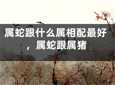 属蛇跟什么属相配最好，属蛇跟属猪