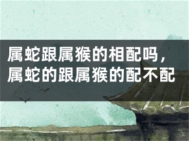 属蛇跟属猴的相配吗，属蛇的跟属猴的配不配