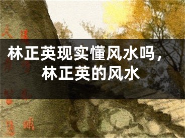 林正英现实懂风水吗，林正英的风水