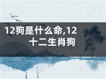 12狗是什么命,12十二生肖狗
