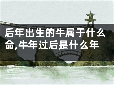 后年出生的牛属于什么命,牛年过后是什么年