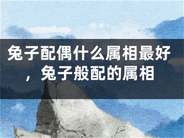 兔子配偶什么属相最好,兔子般配的属相
