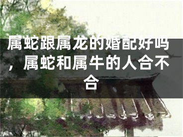 属蛇跟属龙的婚配好吗，属蛇和属牛的人合不合