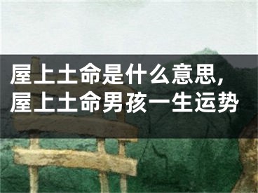 屋上土命是什么意思,屋上土命男孩一生运势
