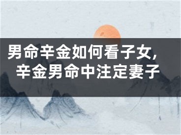 男命辛金如何看子女,辛金男命中注定妻子