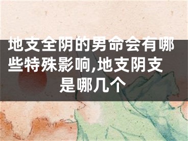 地支全阴的男命会有哪些特殊影响,地支阴支是哪几个