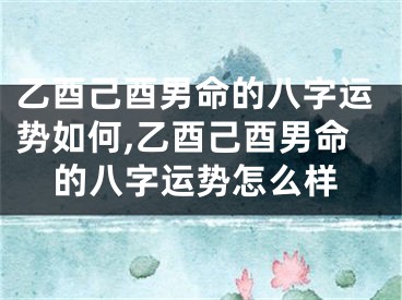 乙酉己酉男命的八字运势如何,乙酉己酉男命的八字运势怎么样