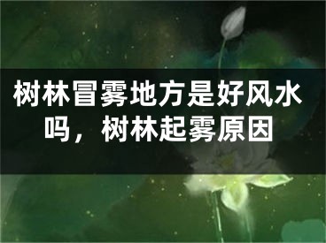 树林冒雾地方是好风水吗，树林起雾原因
