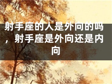 射手座的人是外向的吗，射手座是外向还是内向