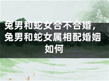 兔男和蛇女合不合婚，兔男和蛇女属相配婚姻如何
