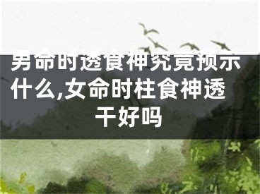 男命时透食神究竟预示什么,女命时柱食神透干好吗