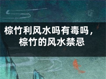 棕竹利风水吗有毒吗，棕竹的风水禁忌