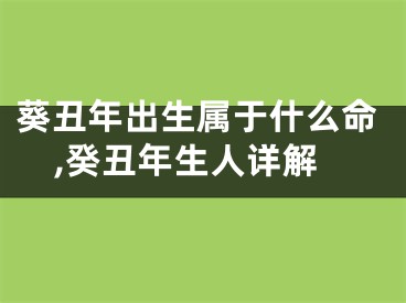 葵丑年出生属于什么命,癸丑年生人详解