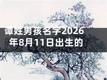 谭姓男孩名字2026年8月11日出生的