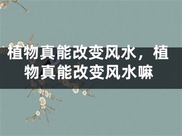 植物真能改变风水，植物真能改变风水嘛