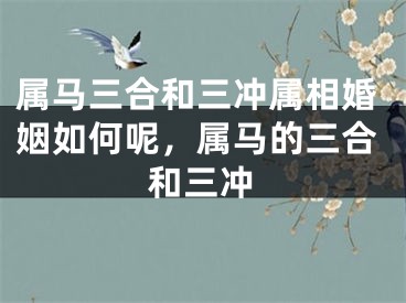 属马三合和三冲属相婚姻如何呢，属马的三合和三冲