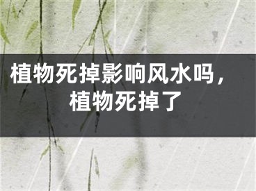 植物死掉影响风水吗，植物死掉了