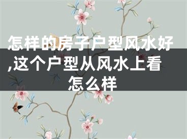 怎样的房子户型风水好,这个户型从风水上看怎么样