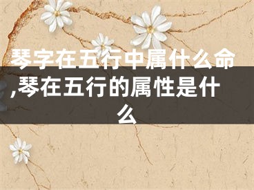 琴字在五行中属什么命,琴在五行的属性是什么