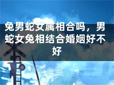 兔男蛇女属相合吗，男蛇女兔相结合婚姻好不好
