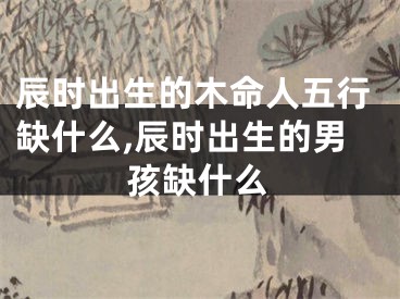 辰时出生的木命人五行缺什么,辰时出生的男孩缺什么