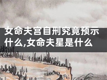 女命夫宫自刑究竟预示什么,女命夫星是什么