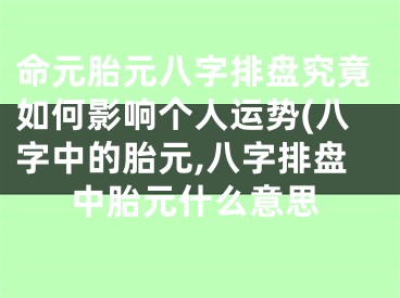 命元胎元八字排盘究竟如何影响个人运势(八字中的胎元,八字排盘中胎元什么意思