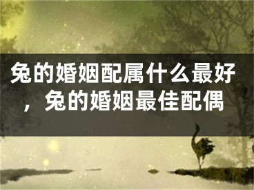 兔的婚姻配属什么最好,兔的婚姻最佳配偶