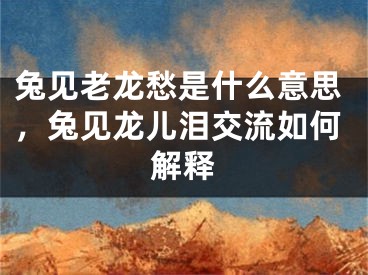 兔见老龙愁是什么意思,兔见龙儿泪交流如何解释