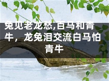 兔见老龙愁,百马和青牛，龙兔泪交流白马怕青牛
