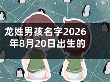 龙姓男孩名字2026年8月20日出生的