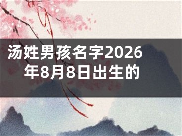 汤姓男孩名字2026年8月8日出生的