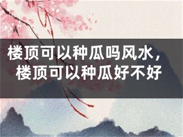 楼顶可以种瓜吗风水，楼顶可以种瓜好不好