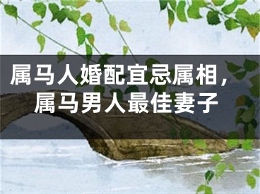 属马人婚配宜忌属相,属马男人最佳妻子