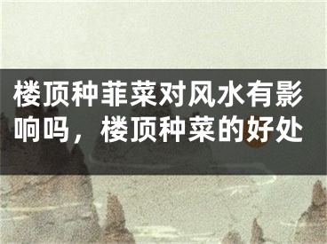 楼顶种菲菜对风水有影响吗，楼顶种菜的好处