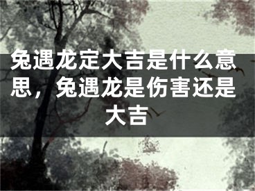 兔遇龙定大吉是什么意思，兔遇龙是伤害还是大吉