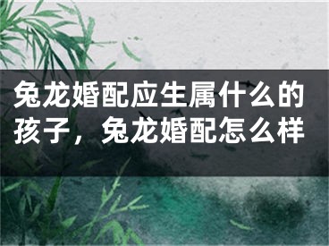 兔龙婚配应生属什么的孩子，兔龙婚配怎么样