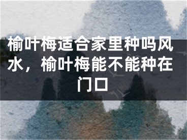 榆叶梅适合家里种吗风水，榆叶梅能不能种在门口