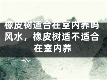 橡皮树适合在室内养吗风水，橡皮树适不适合在室内养