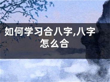 如何学习合八字,八字怎么合