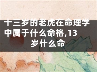 十三岁的老虎在命理学中属于什么命格,13岁什么命